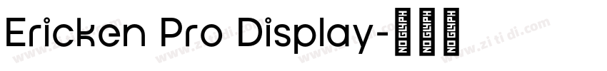 Ericken Pro Display字体转换